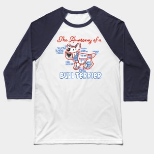 Anatomy of a bull terrier Baseball T-Shirt